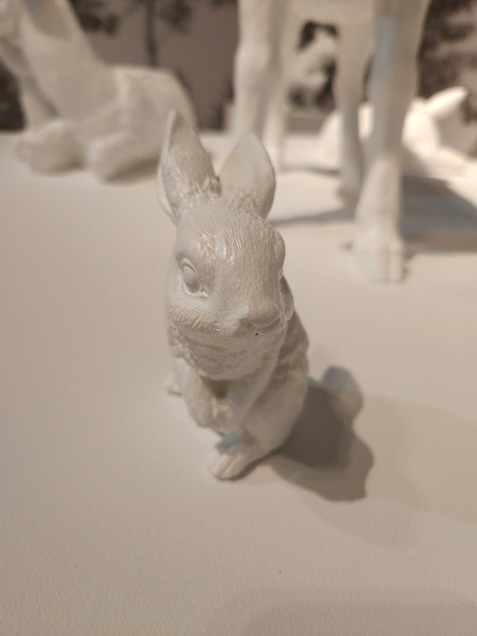 Rabbit Statues