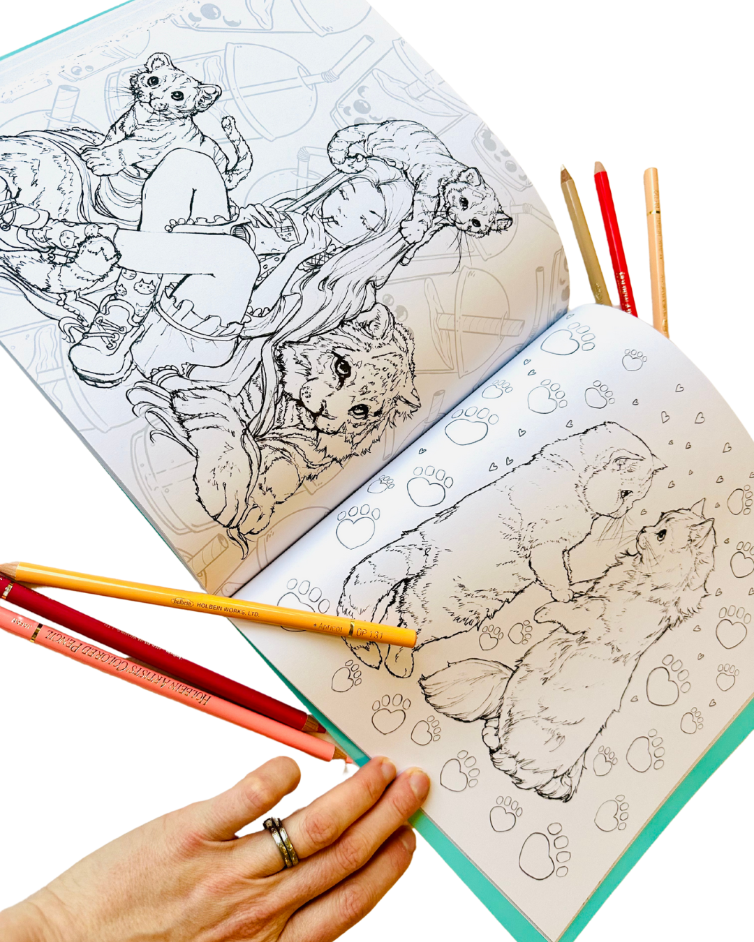 Pre-order for Pop Manga Catitude Coloring Book