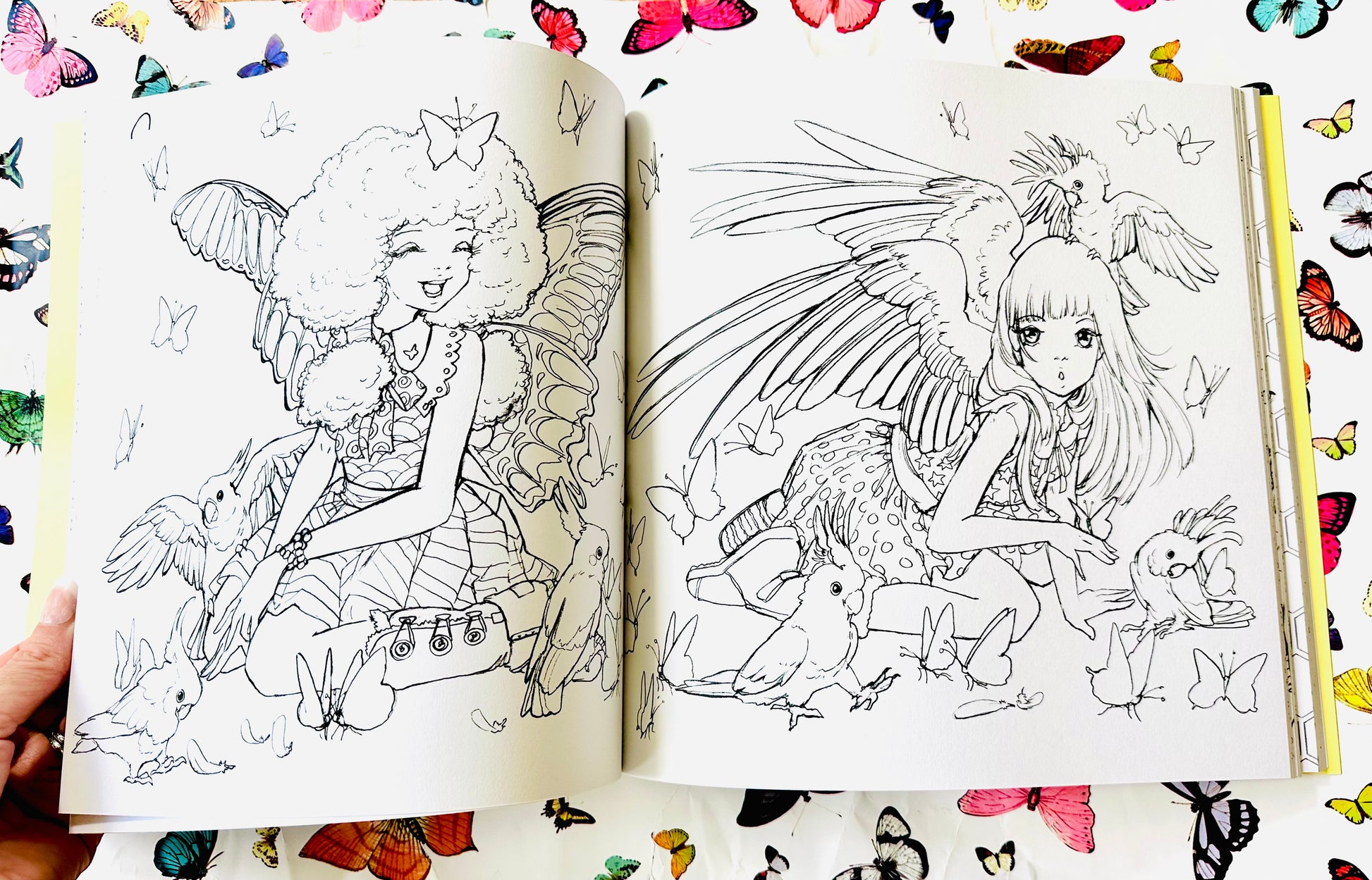 Flights of Fancy Coloring Book